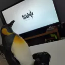 ペンギン倶楽部