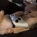 ˏˋ°•*⁀➷ Hangout Discord server icon