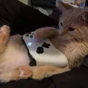 ˏˋ°•*⁀ Hangout Discord Server Icon