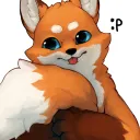 ♀♂⚧🏳🌈🏳⚧Floof and Snoots🏳⚧🏳🌈⚧♂♀