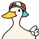 Shuba Duck Supremacy
