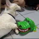 Random Shit