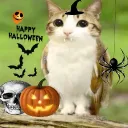 Mia Café: Spooky Month🎃🙀