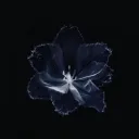 mirai