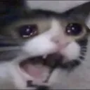 Top 10 saddest anime deaths