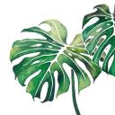 🌿 Plantastique 🌿