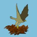 Peregrinus Creative Discord Server Icon