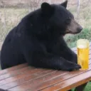 The official r/beer discord