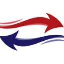 FlyNL VA Server Icon