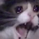 The Screaming Kat
