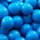 Blue Gum Survival