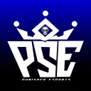 PUNISHER ESPORTS