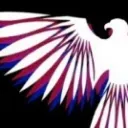 Cosmic Eagle Community