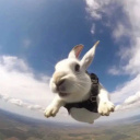 Discovery icon for browntown Discord server