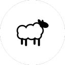 Sheep Gang