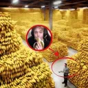 СЕРВЕР ГЕНИЕВ 🥵