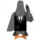 The Assassins of the Pigeon