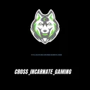 Cross_Incarnate_Gaming