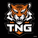 Tiger-Noslen's server