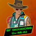 SP BIGGBOSS GAMING