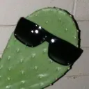 THE COOL BEOBLE