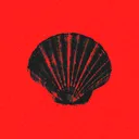 SHELL  STREET
