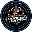Bodega Cats GC