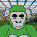 Kongcord