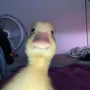 oi tudo bom??