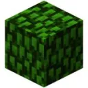 Leaf Smp