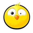 chick chick BOOM