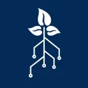 CMU Data Science Club
