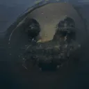 あそこらへんのさば