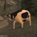 moo!