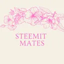 Steemit mates