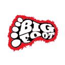 Bigfootverse Discord Server Icon