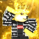 THE OGS's server