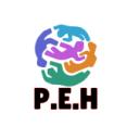 Public Entertainment Hub Discord server logo