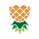 Society of Inverted Pineapples