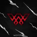 🔥 Wondex Gaming Go 100❤