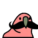 GNC
