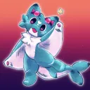 Discord kitten