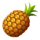 The Fruit Bowl Discord Server Icon