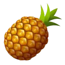 The Fruit Bowl