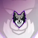DROWLFS E-sports