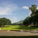 UPLB Tambayan