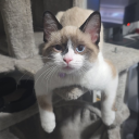 Discovery icon for Shark_Park Discord server