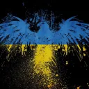 Vexillology Discord