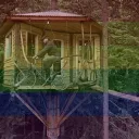 The treehouse