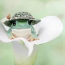 ケロケロ